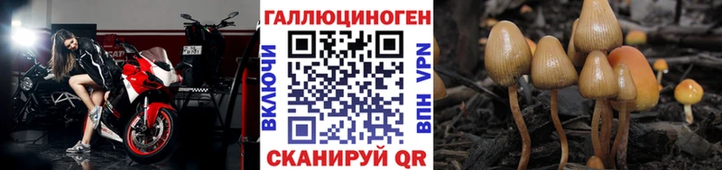 кракен ссылки  Вятские Поляны  Галлюциногенные грибы Psilocybine cubensis  как найти  
